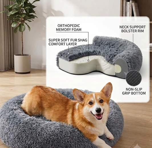 The Art of Rest: Why Your Dog Deserves Orthopedic Support