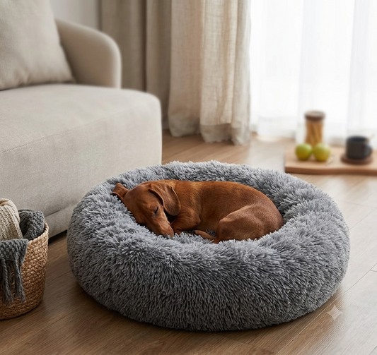 The Science of the "Snuggle"