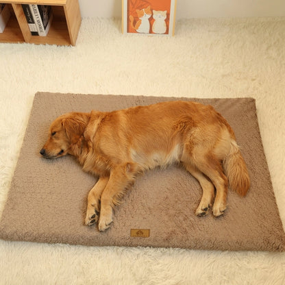 The DreamRest Orthopedic Bed Aeivalo