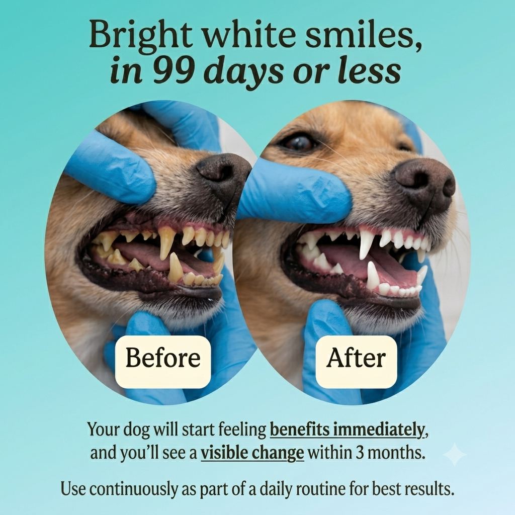 TrustyTeeth™ Advanced Dental Formula