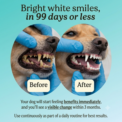 TrustyTeeth™ Advanced Dental Formula