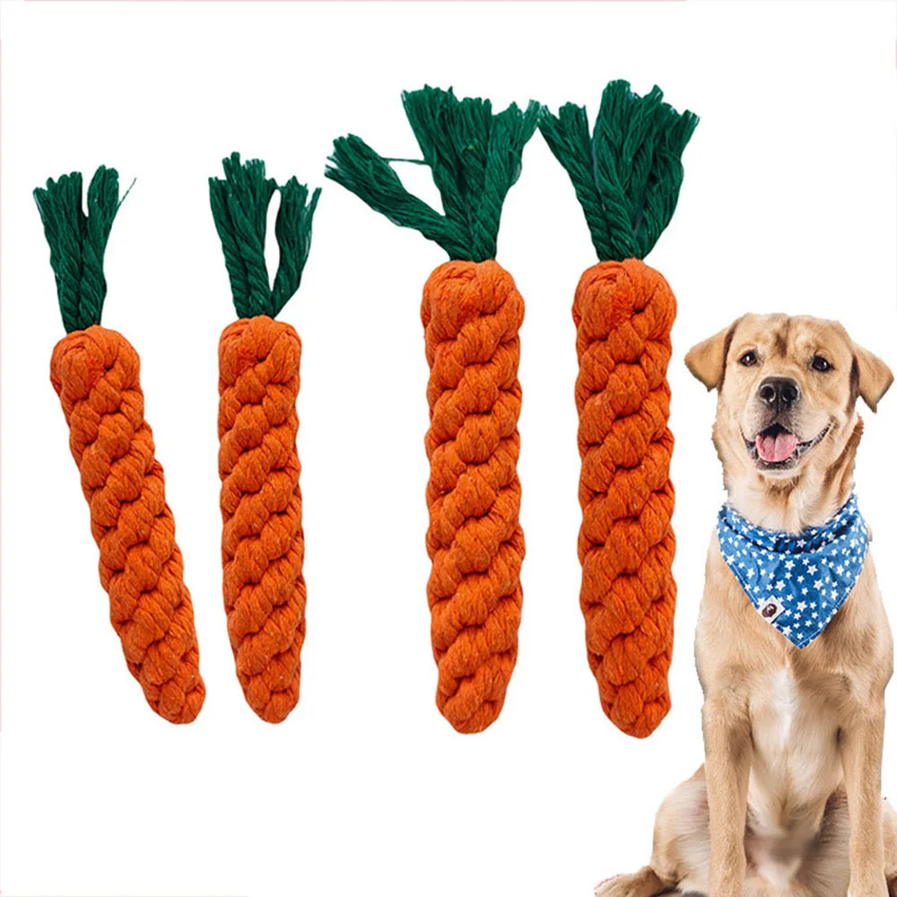 Dog Chew Toy