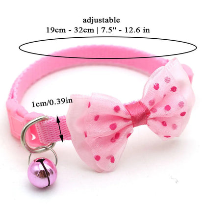 Dog Chew Toy