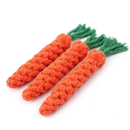 Dog Chew Toy