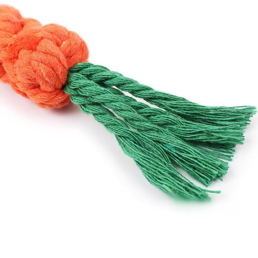 Dog Chew Toy