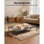 Elevated Dog Bed for Large Dog Portable Raised Dog Cot w/ Metal Frame XL Aeivalo