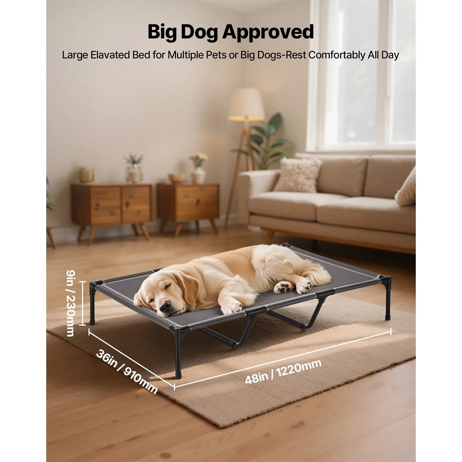 Elevated Dog Bed for Large Dog Portable Raised Dog Cot w/ Metal Frame XL Aeivalo
