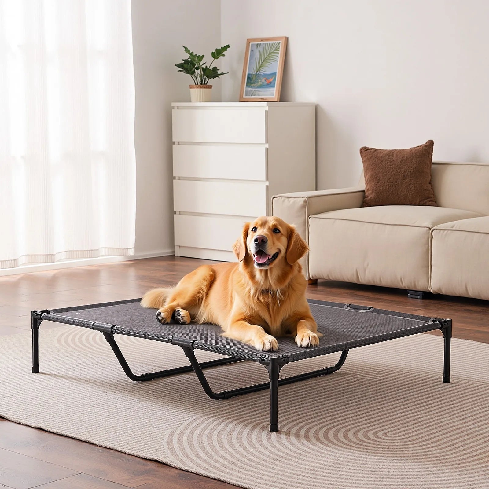 Elevated Dog Bed for Large Dog Portable Raised Dog Cot w/ Metal Frame XL Aeivalo